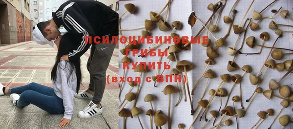 первитин Коряжма