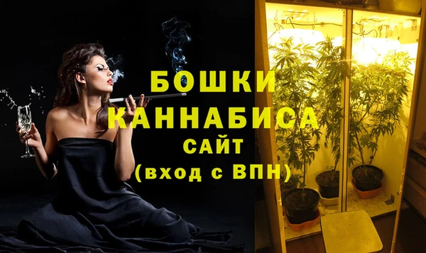 первитин Коряжма