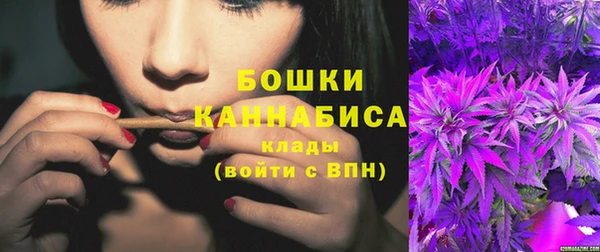 первитин Коряжма