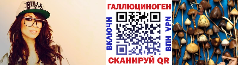 Купить  Бакал  Псилоцибиновые грибы ЛСД 