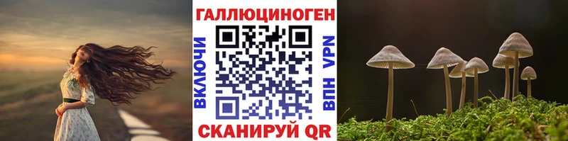 Псилоцибиновые грибы Cubensis Бакал