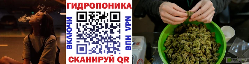 Купить закладки  Бакал  Шишки марихуана планчик 